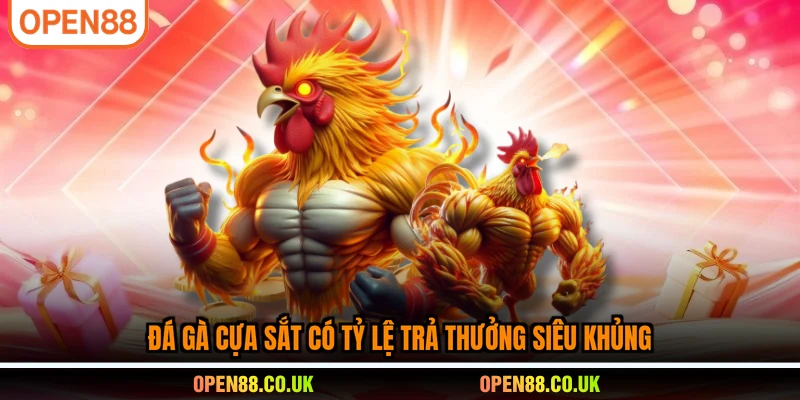 Đá gà cựa sắt có tỷ lệ trả thưởng siêu khủng