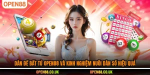 Dàn đề bất tử OPEN88 và kinh nghiệm nuôi dàn số hiệu quả