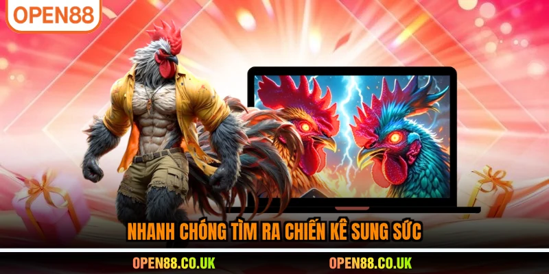 Nhanh chóng tìm ra chiến kê sung sức